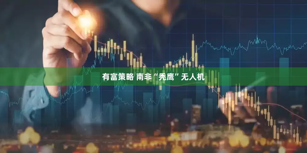有富策略 南非“秃鹰”无人机
