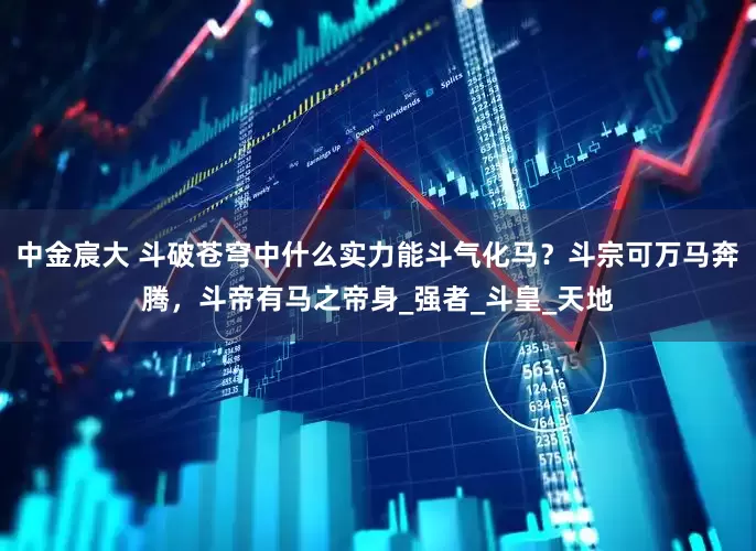 中金宸大 斗破苍穹中什么实力能斗气化马？斗宗可万马奔腾，斗帝有马之帝身_强者_斗皇_天地