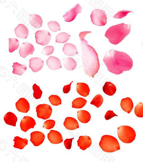 睿新策略 IPO周报：泰金新能暂缓审议，业绩下滑风险被问询