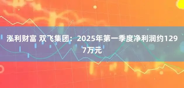 泓利财富 双飞集团：2025年第一季度净利润约1297万元