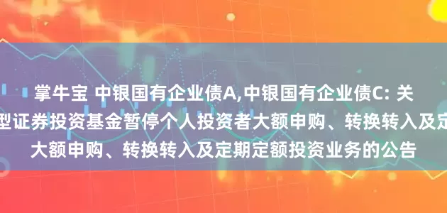 掌牛宝 中银国有企业债A,中银国有企业债C: 关于中银国有企业债债券型证券投资基金暂停个人投资者大额申购、转换转入及定期定额投资业务的公告