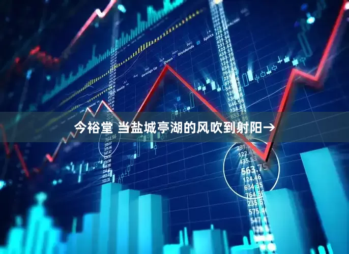 今裕堂 当盐城亭湖的风吹到射阳→