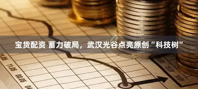 宝货配资 蓄力破局，武汉光谷点亮原创“科技树”